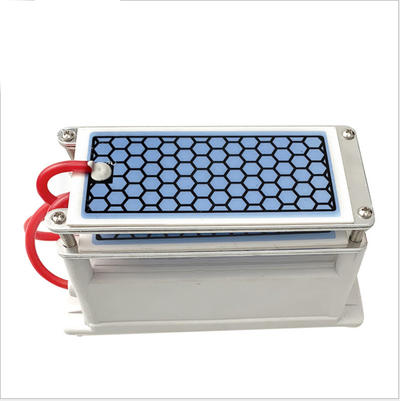 20g/h Portable Ozone Generator for Air Sterilizer Double Ceramic Plate Ozonizer
